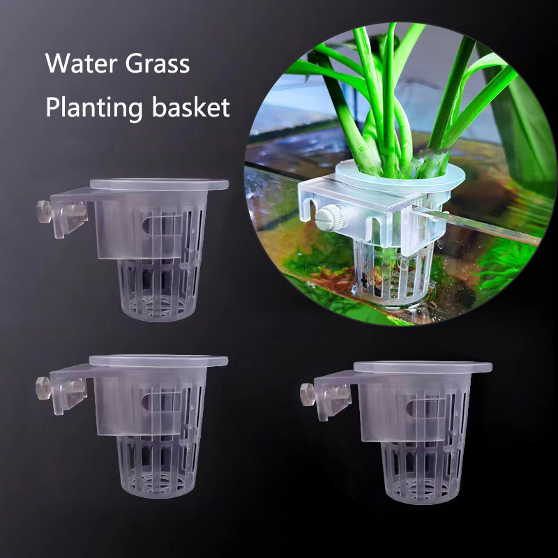 Aquarium Plant Live - Aquarium Planting Basket Hydroponic Support Hangable