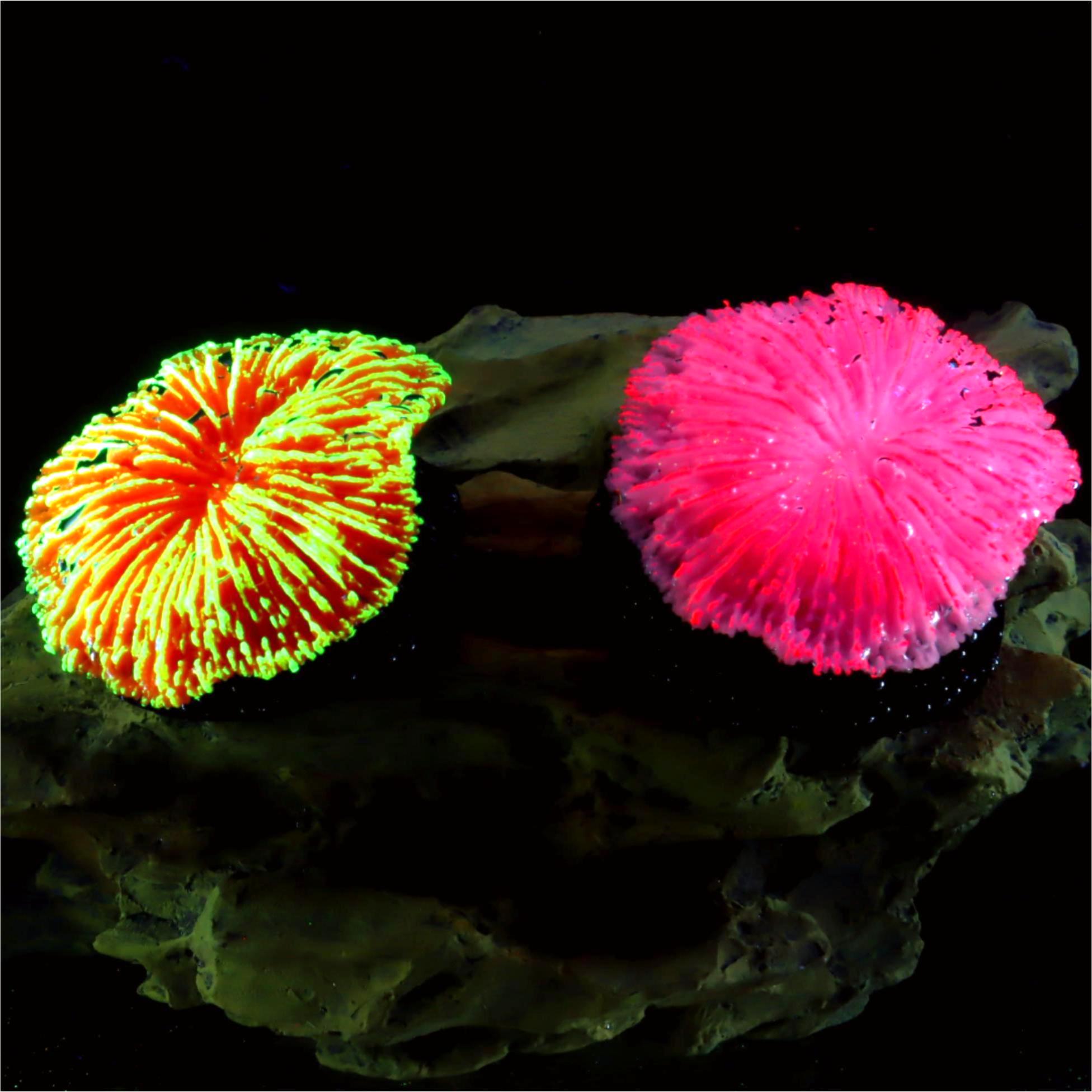 1 piece aquarium decoration sa - огляд і ціна Aquarium Plant Live