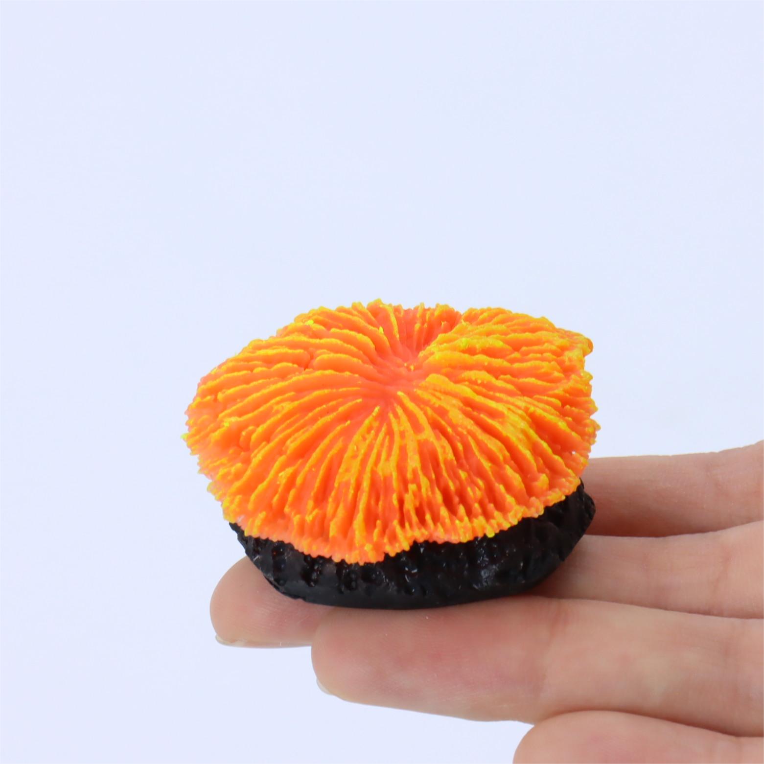 1 piece aquarium decoration sa - огляд і ціна Aquarium Plant Live