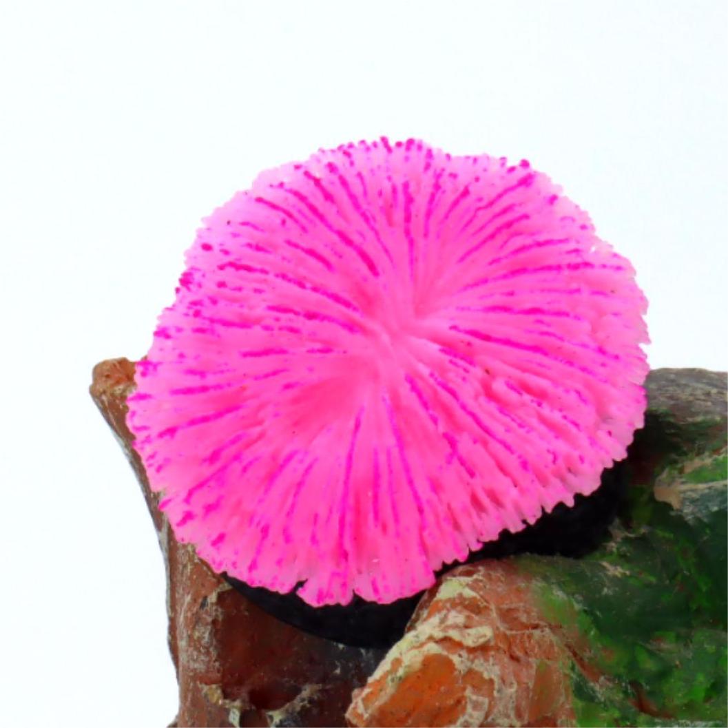 1 piece aquarium decoration sa - огляд і ціна Aquarium Plant Live