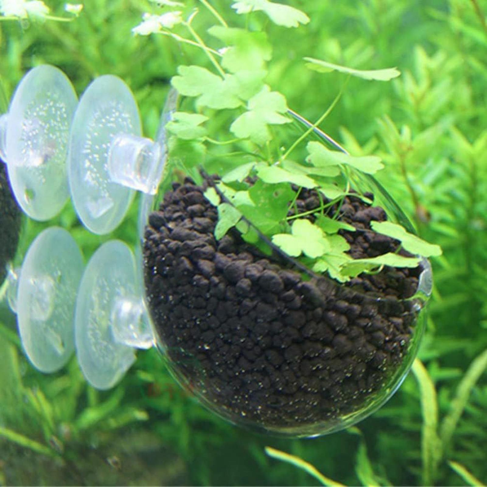 Aquarium Plant Holder Glass Aq - огляд і ціна Aquarium Plant Live