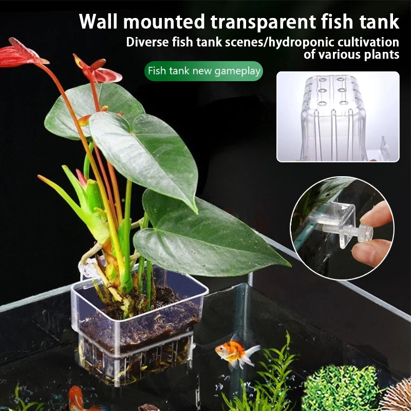 Aquarium Hanging Planter Cups  - огляд і ціна Aquarium Plant Live