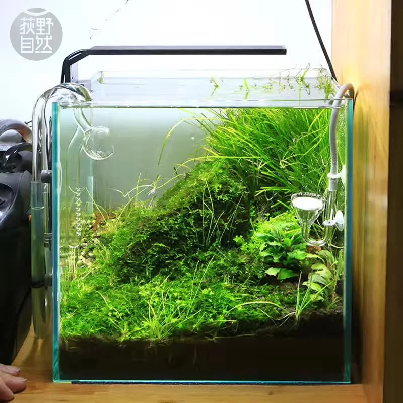Chihiros C Series ADA Style Pl - огляд і ціна Aquarium Plant Grow Light
