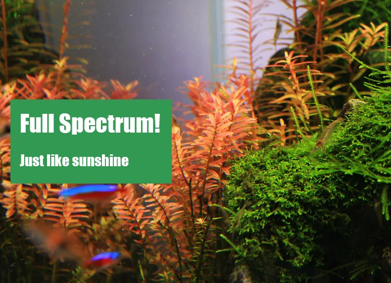 Chihiros C Series ADA Style Pl - огляд і ціна Aquarium Plant Grow Light