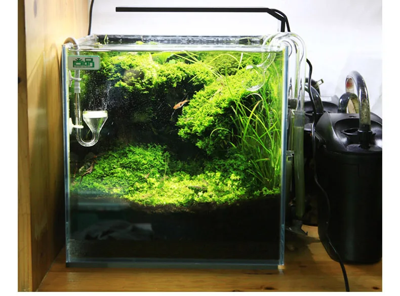 Chihiros C Series ADA Style Pl - огляд і ціна Aquarium Plant Grow Light
