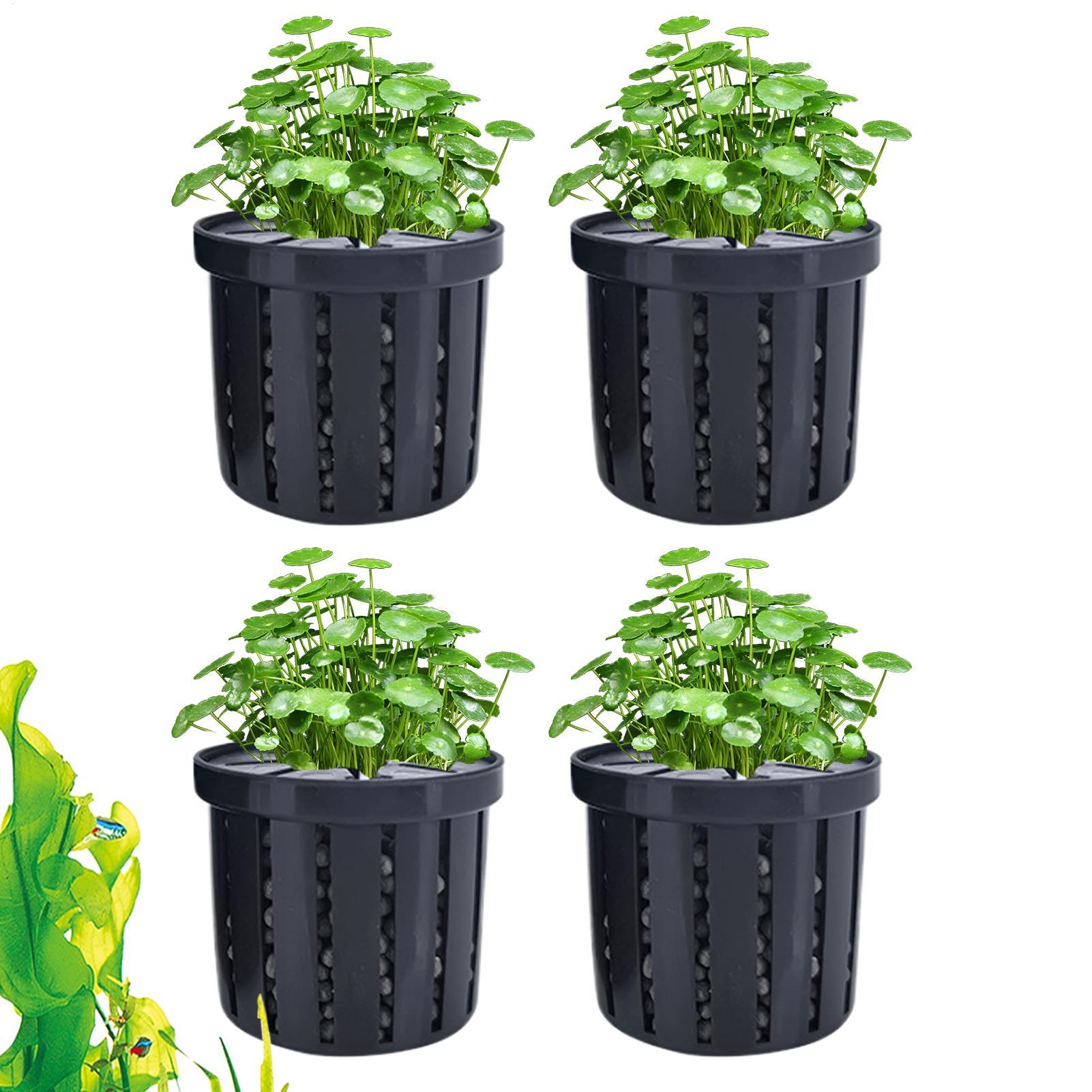 4 Pieces Aquarium Planter Pot  - огляд і ціна Aquarium Plant Live