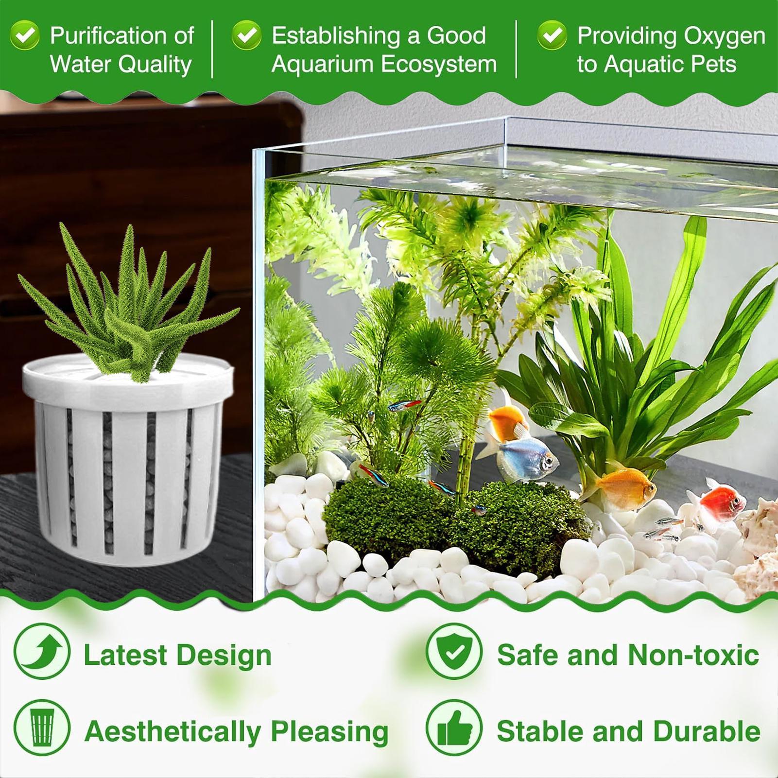 4 Pieces Aquarium Planter Pot  - огляд і ціна Aquarium Plant Live