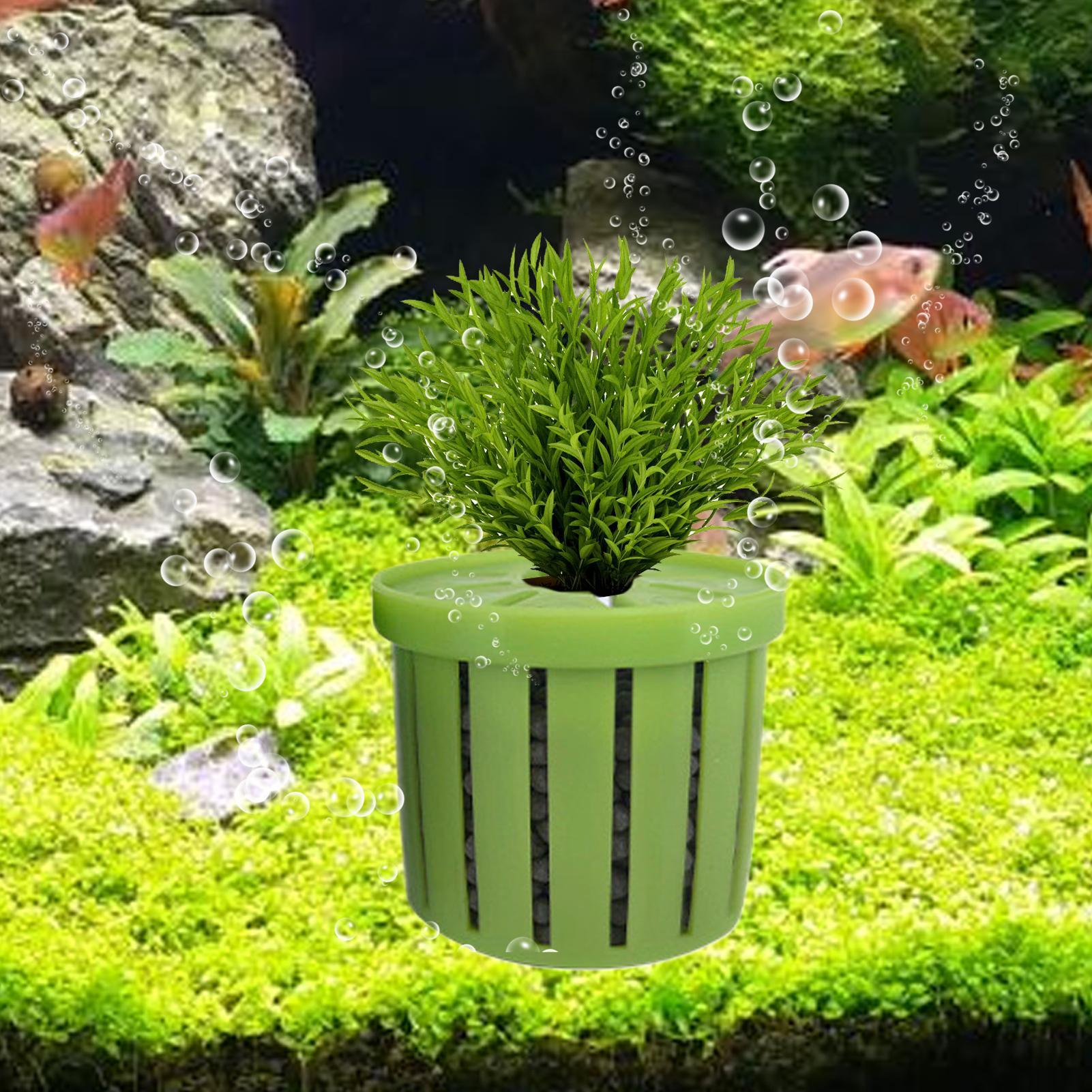 4 Pieces Aquarium Planter Pot  - огляд і ціна Aquarium Plant Live