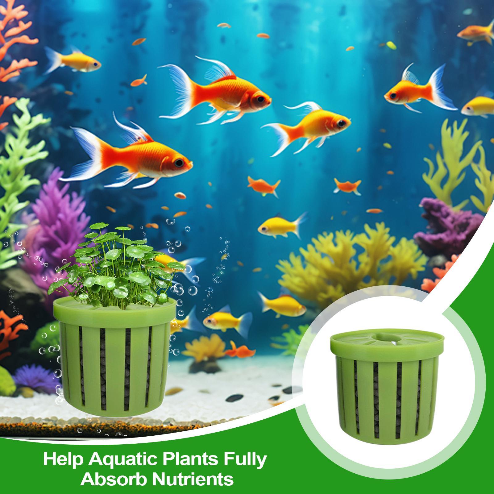 4 Pieces Aquarium Planter Pot  - огляд і ціна Aquarium Plant Live