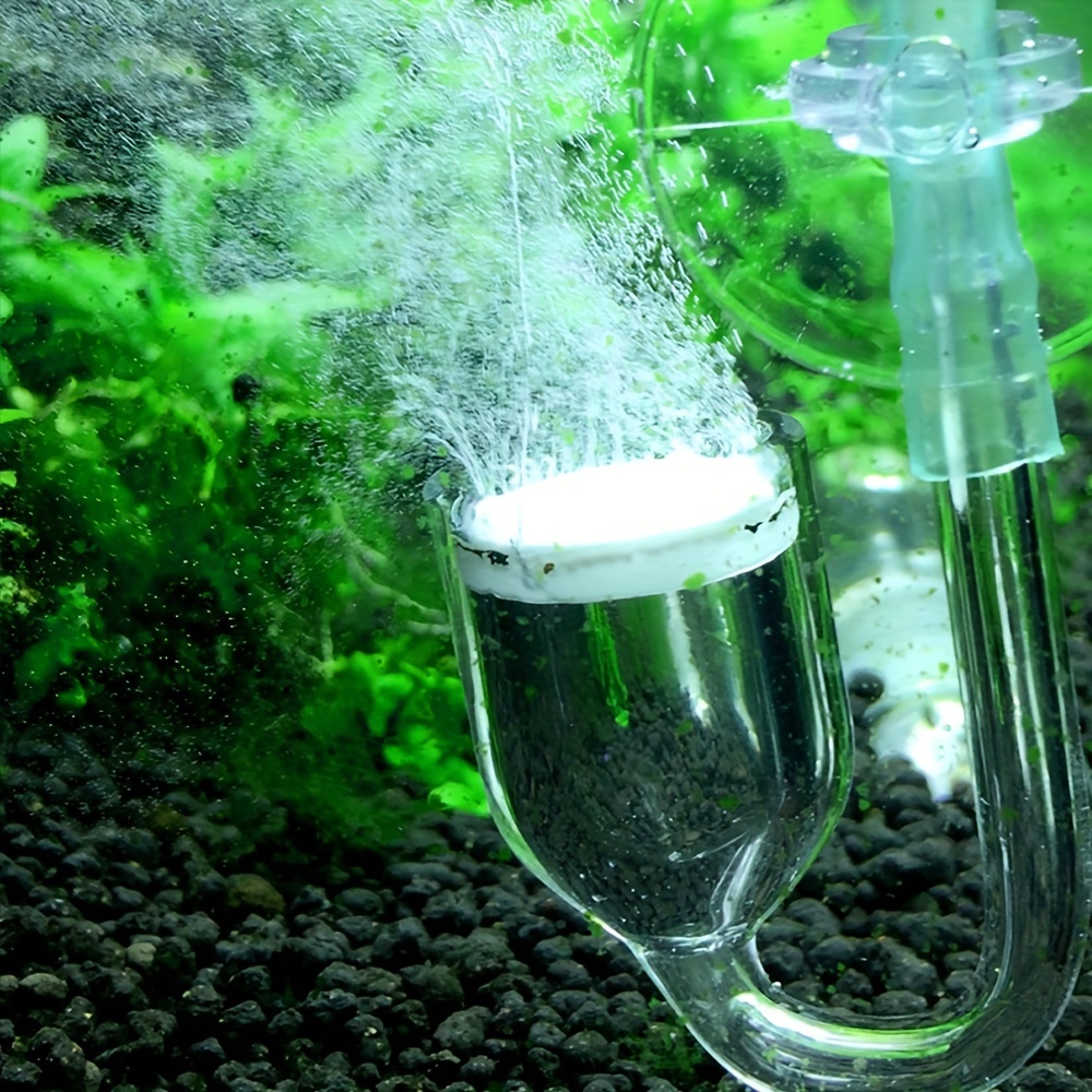 Aquarium Glass CO2 Atomizer Di - огляд і ціна Planted Aquarium Co2