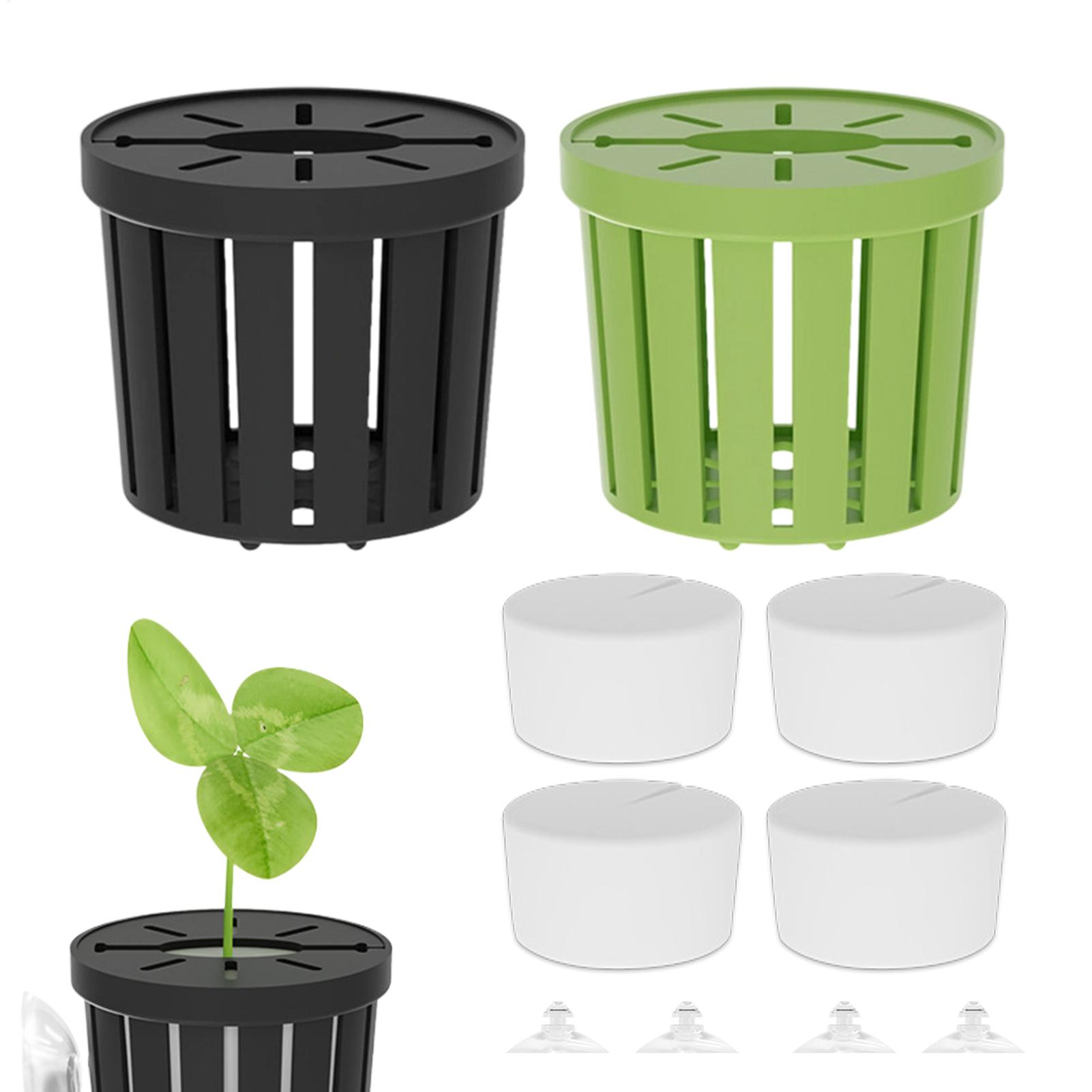 4Pcs Aquatic Plants Fixed Set  - огляд і ціна Aquarium Plant Live