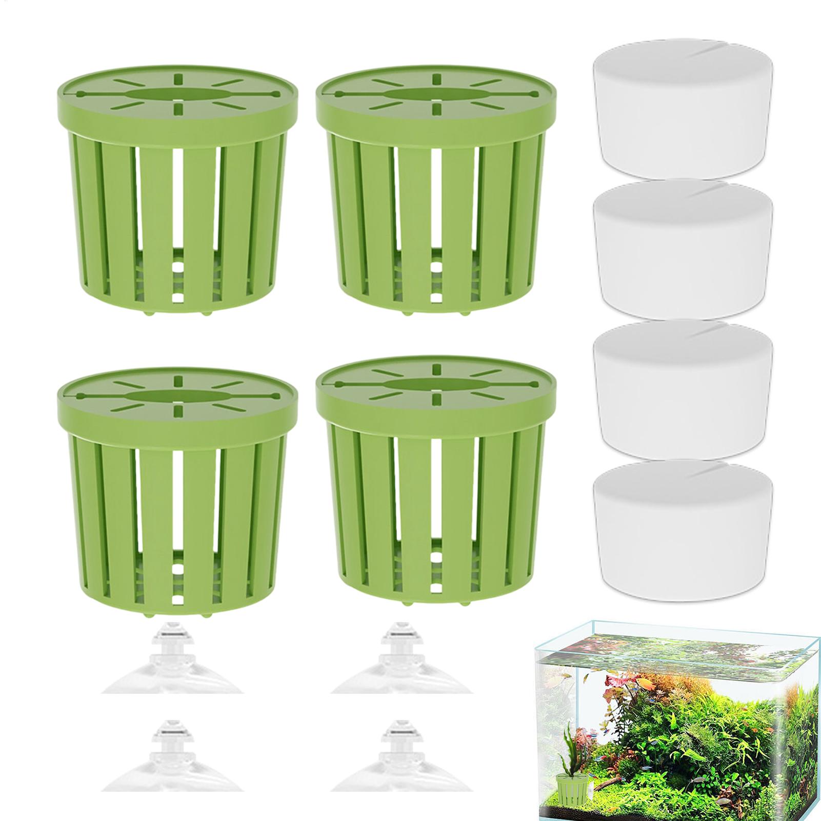 4Pcs Aquatic Plants Fixed Set  - огляд і ціна Aquarium Plant Live