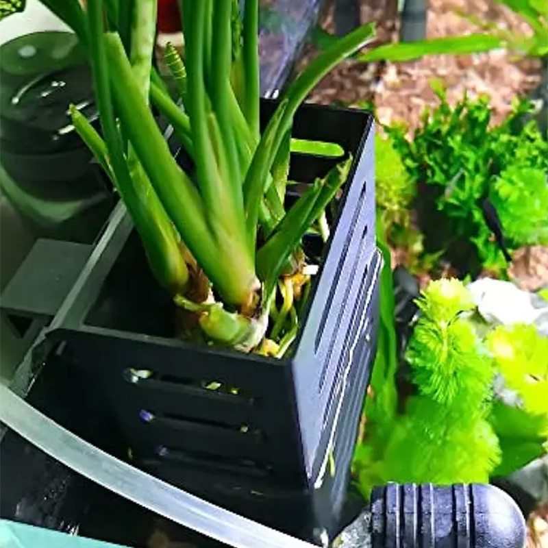 Pet Fish Tank Decorations Aqua - огляд і ціна Aquarium Plant Live