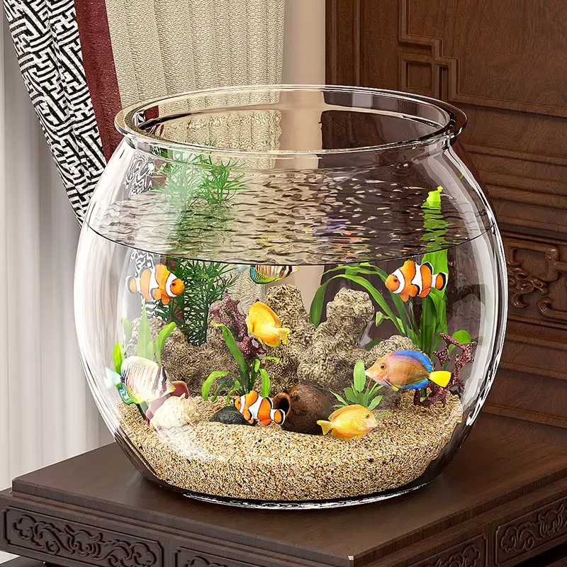 High Quality Compact Clear Pla - огляд і ціна Aquarium Plant Live