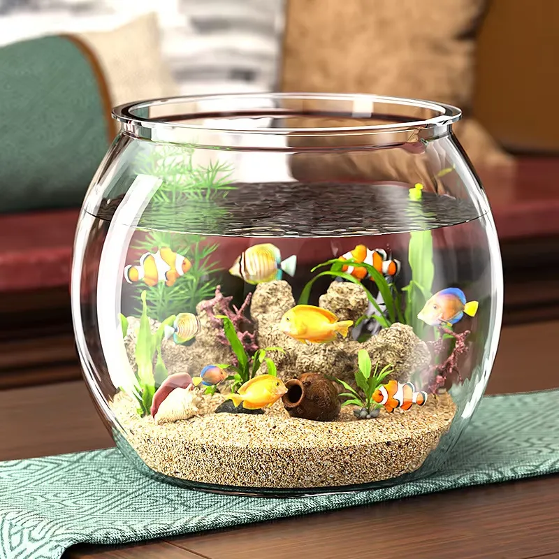 High Quality Compact Clear Pla - огляд і ціна Aquarium Plant Live