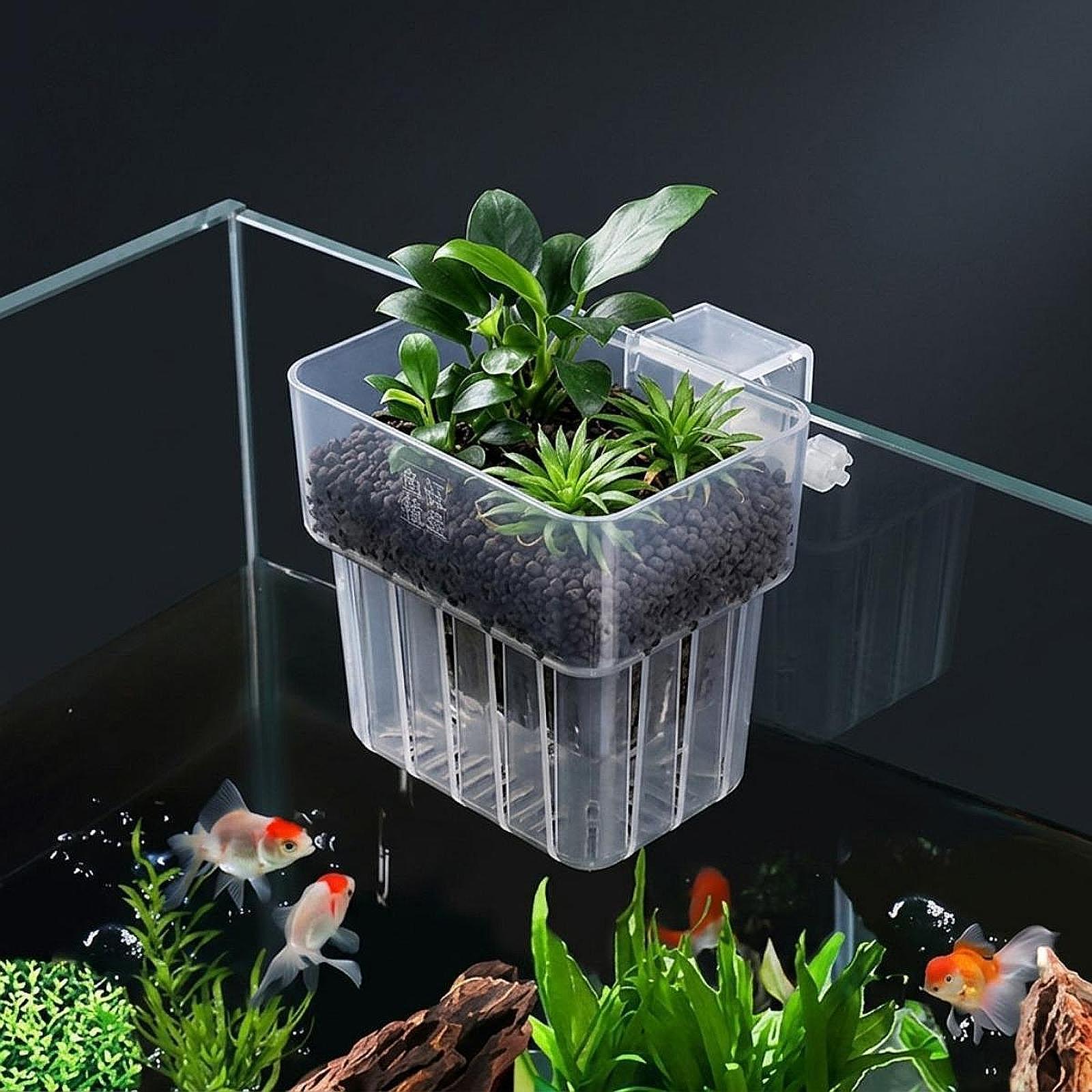Aquarium Plant Holder Adjustab - огляд і ціна Planted Aquarium Materials