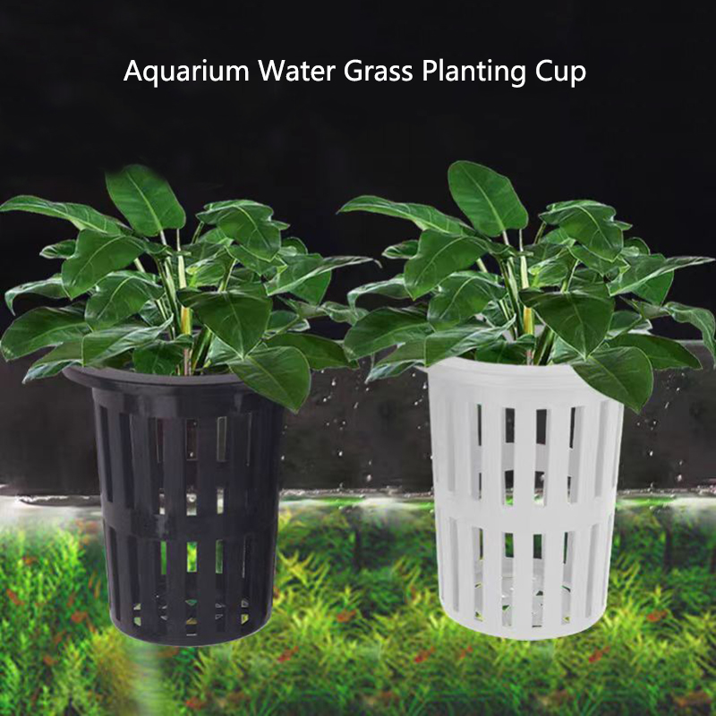 1/3Pcs Aquarium Plant Basket W - огляд і ціна Aquarium Plant Live