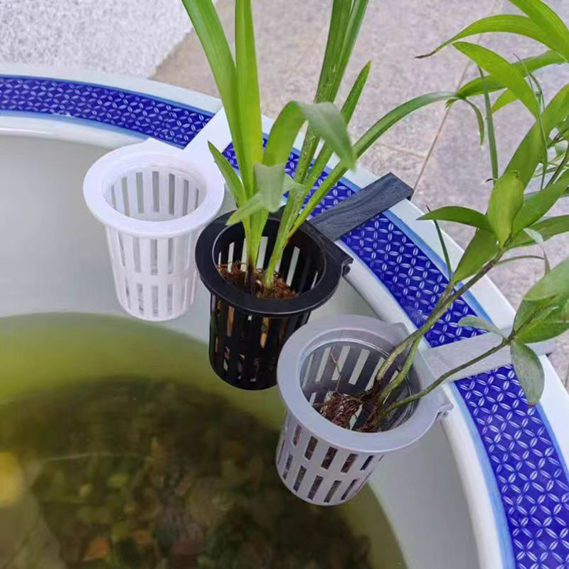 1/3Pcs Aquarium Plant Basket W - огляд і ціна Aquarium Plant Live