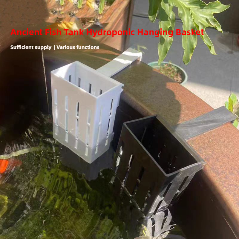1/3Pcs Aquarium Plant Basket W - огляд і ціна Aquarium Plant Live