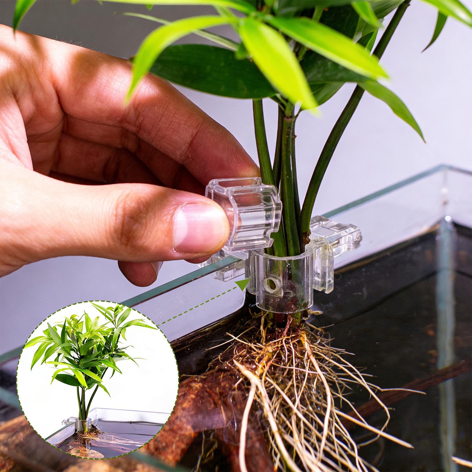 6pcs Aquarium Plant Holders Cl - огляд і ціна Aquarium Plant Live