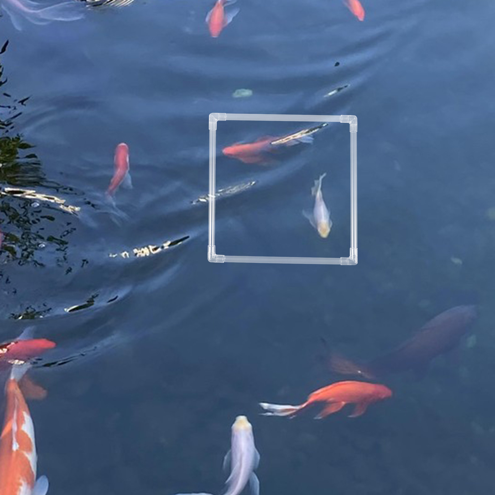 1Set Aquarium Floating Plant R - огляд і ціна Planted Aquarium Materials