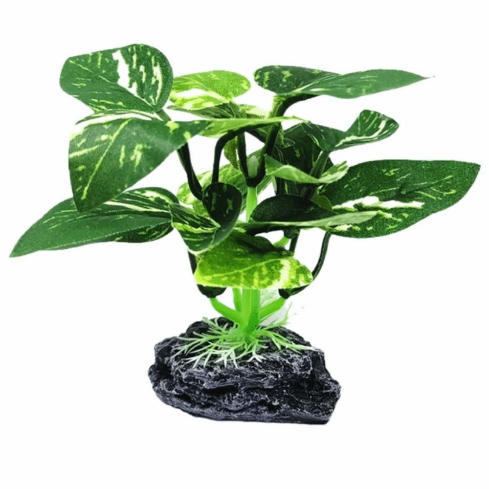 Plastic Material Aquarium Plan - огляд і ціна Planted Aquarium Materials