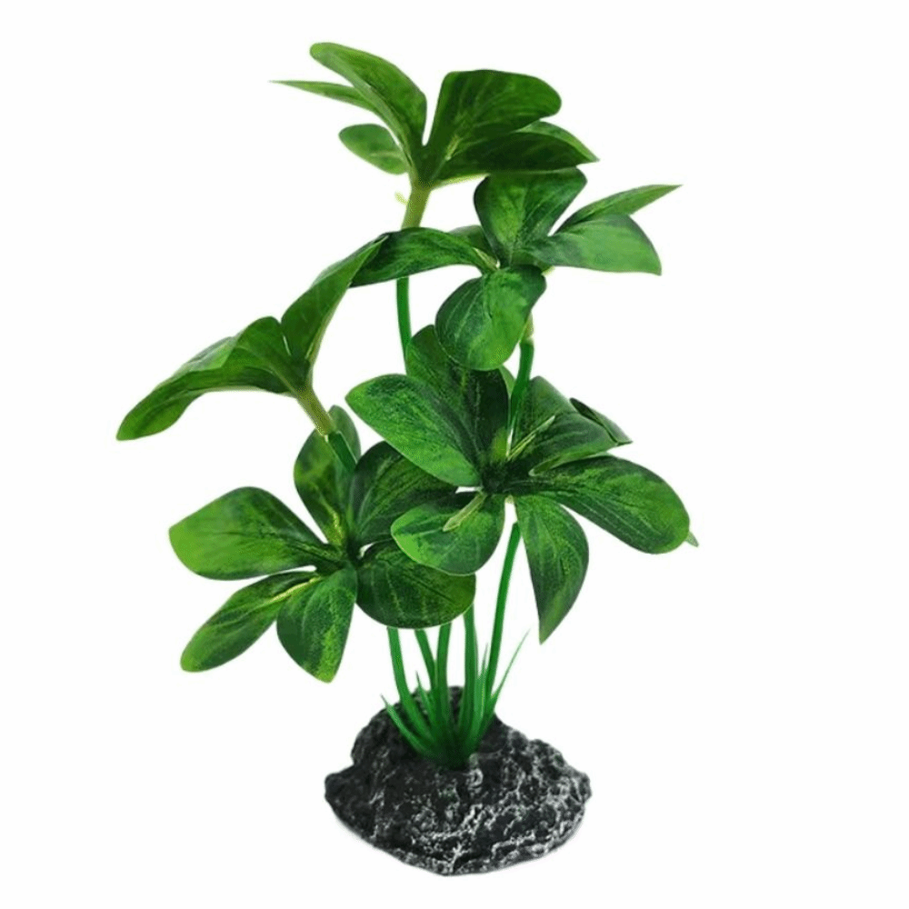 Plastic Material Aquarium Plan - огляд і ціна Planted Aquarium Materials