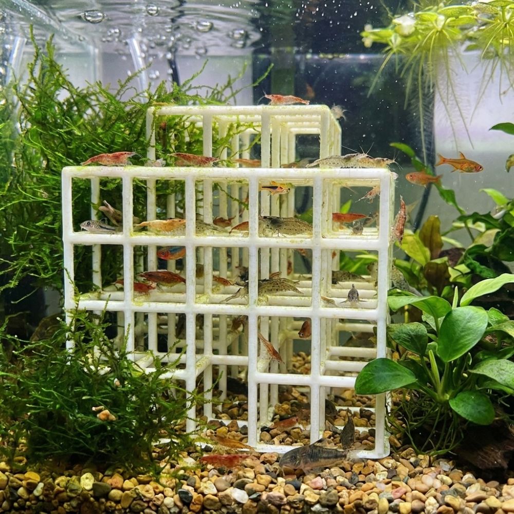 3D Printed Fish Shrimp Hideout - огляд і ціна Aquarium Plant Live