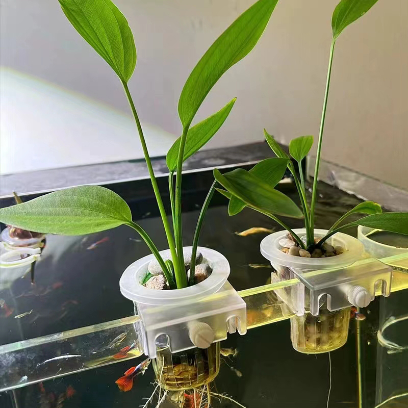 Aquarium Planting Basket Hydro - огляд і ціна Aquarium Plant Live
