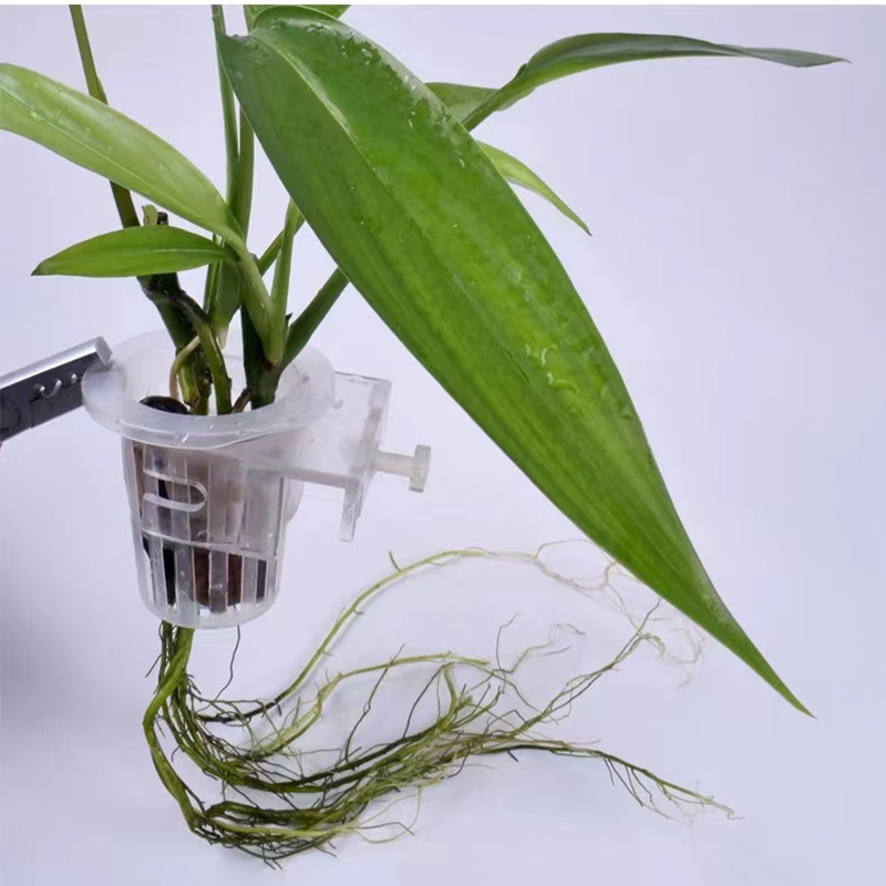 Aquarium Planting Basket Hydro - огляд і ціна Aquarium Plant Live